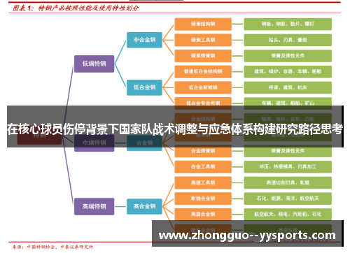 在核心球员伤停背景下国家队战术调整与应急体系构建研究路径思考