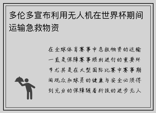 多伦多宣布利用无人机在世界杯期间运输急救物资 多伦多宣布利用无人机在世界杯期间运输急救物资